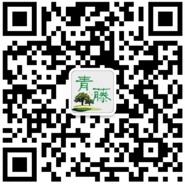 按此在新窗口浏览这张图片